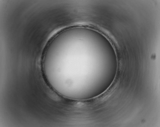 X0000103231412200808281420