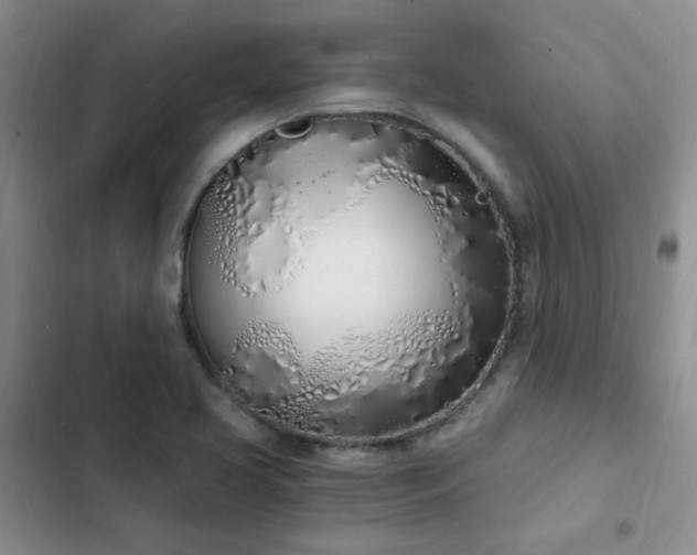 X0000103231413200808281420