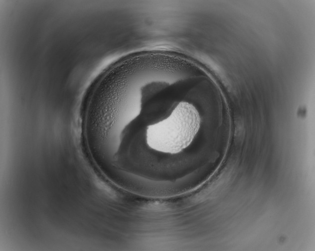 X0000103231414200808281420