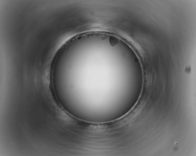 X0000103231415200808281420