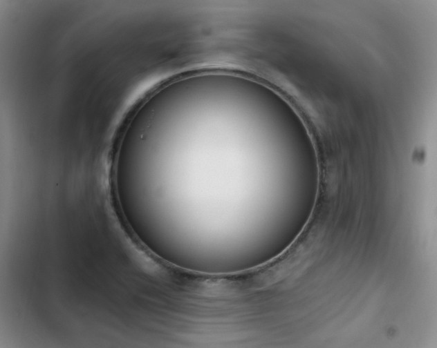 X0000103231416200808281420