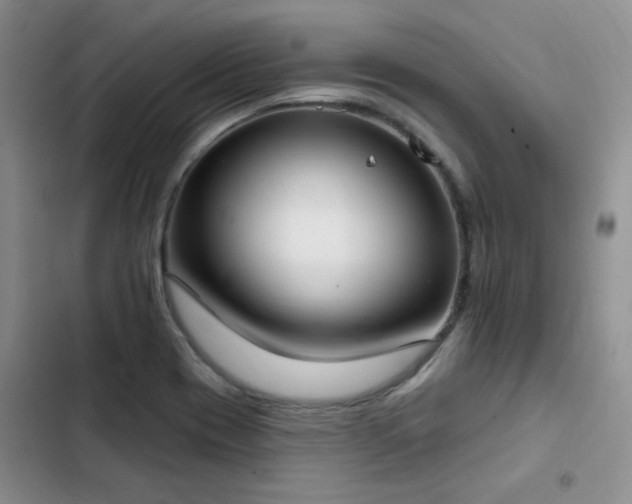 X0000103231417200808281420