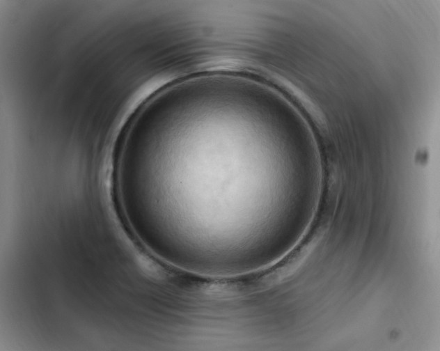 X0000103231418200808281420