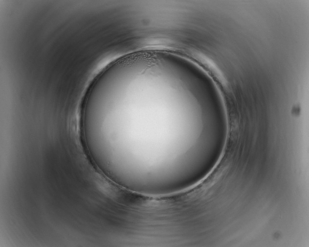 X0000103231419200808281420