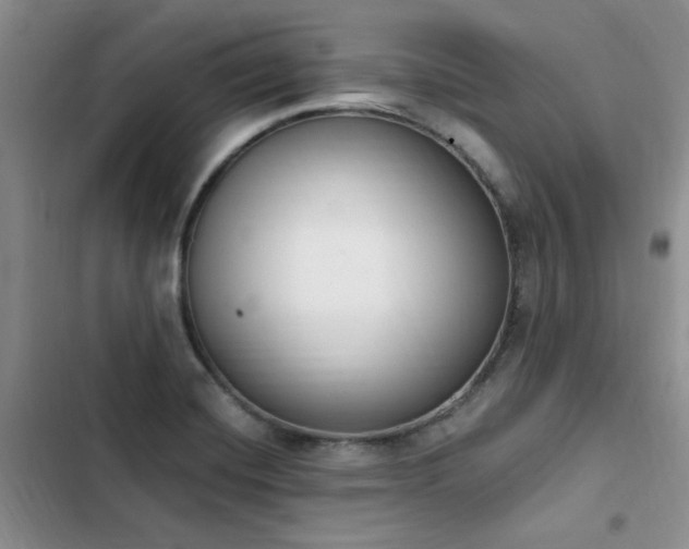 X0000103231420200808281420