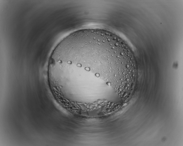 X0000103231421200808281420