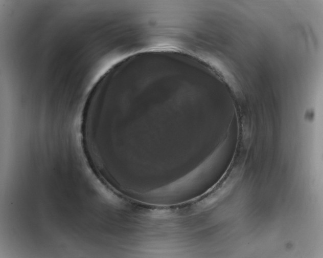X0000103231422200808281420