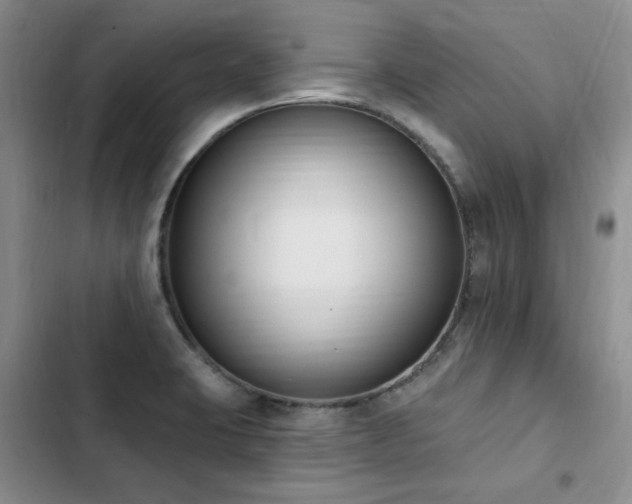 X0000103231423200808281420