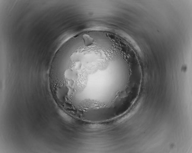 X0000103231425200808281420