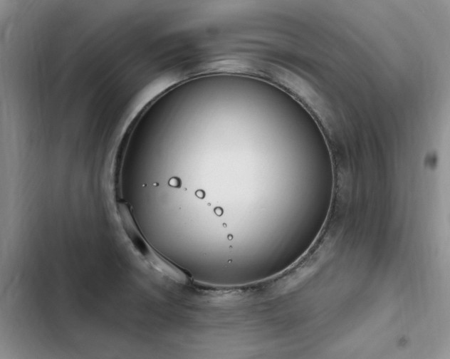 X0000103231426200808281420