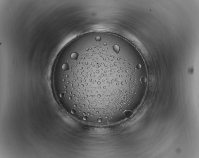 X0000103231427200808281420