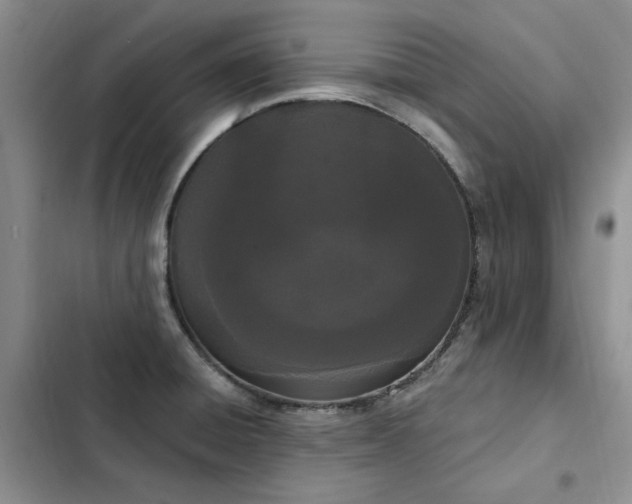 X0000103231428200808281420