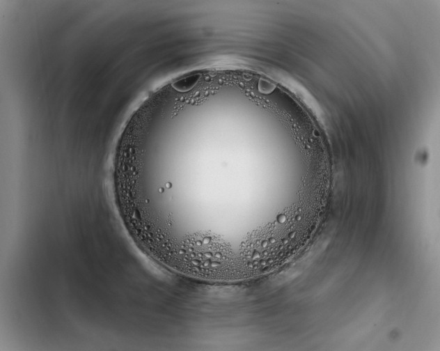 X0000103231429200808281420