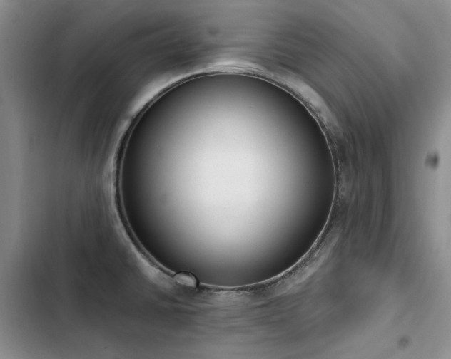 X0000103231430200808281420