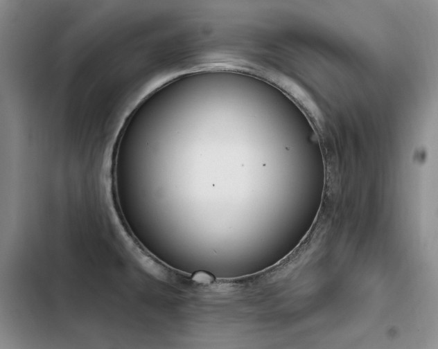 X0000103231431200808281420