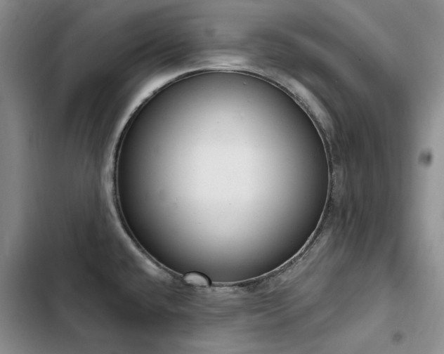 X0000103231432200808281420