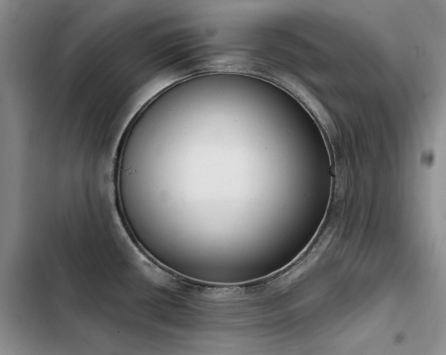X0000103231434200808281421