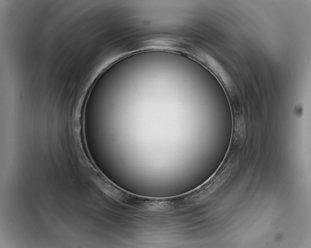 X0000103231435200808281421
