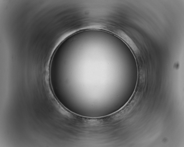 X0000103231436200808281421