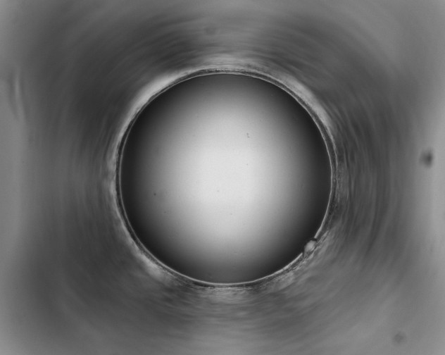 X0000103231437200808281421