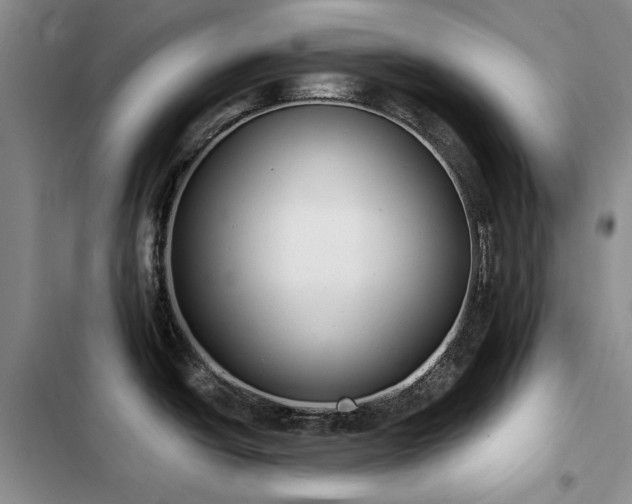 X0000103231438200808281421