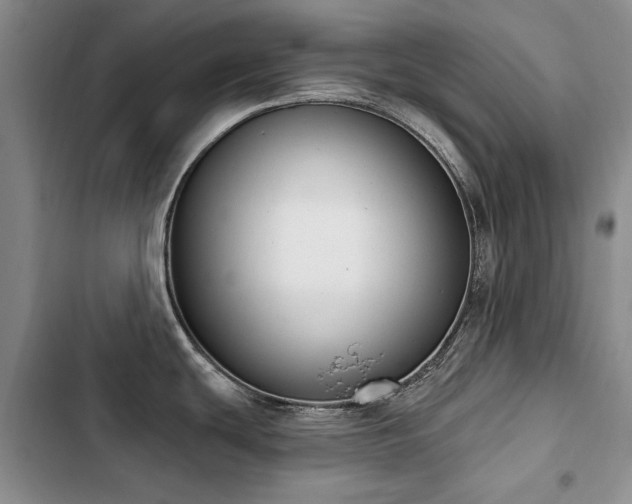 X0000103231439200808281421