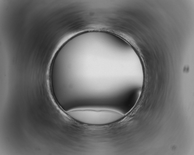X0000103231440200808281421