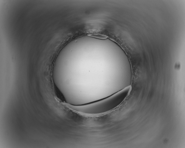 X0000103231441200808281420