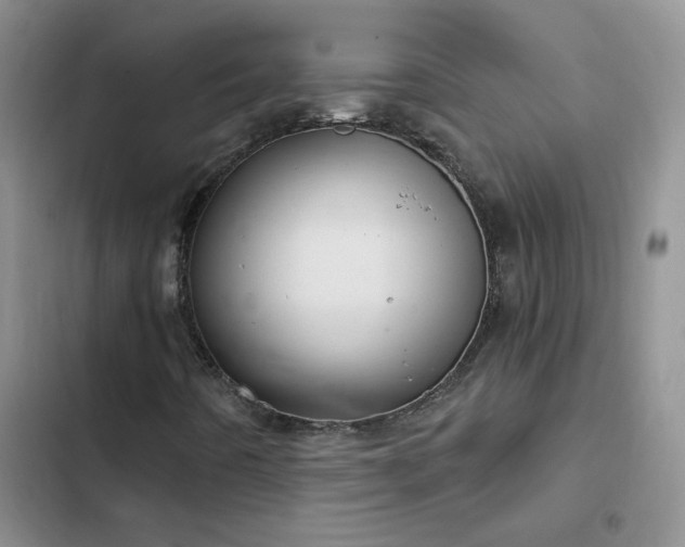 X0000103231442200808281420