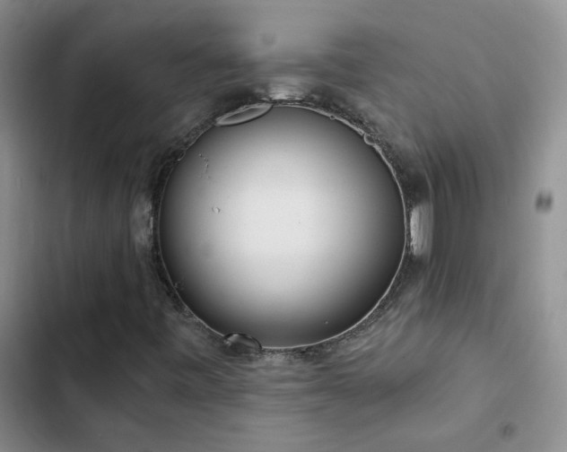 X0000103231443200808281420