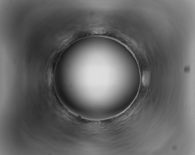 X0000103231444200808281420