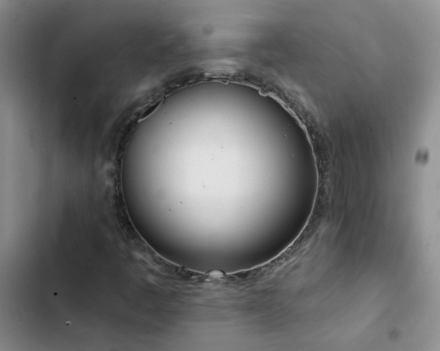 X0000103231445200808281420