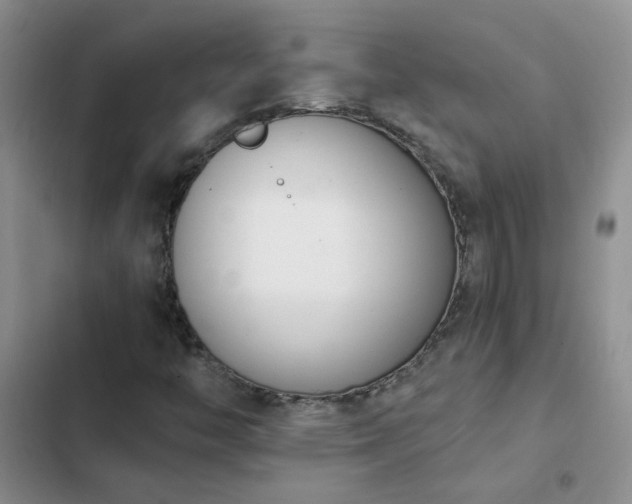 X0000103231446200808281420