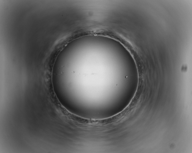 X0000103231447200808281420