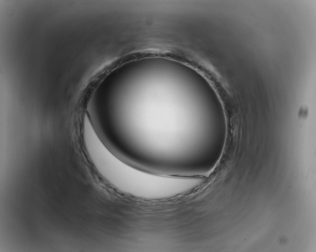 X0000103231448200808281420