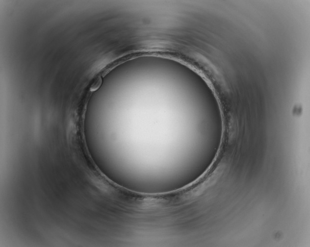 X0000103231449200808281420