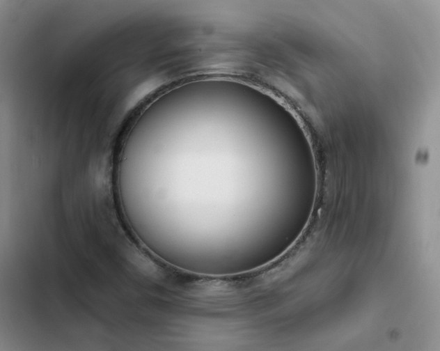 X0000103231450200808281420