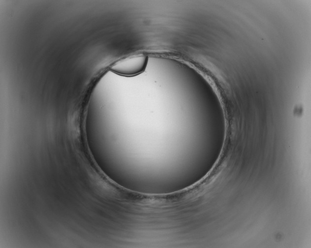 X0000103231451200808281420