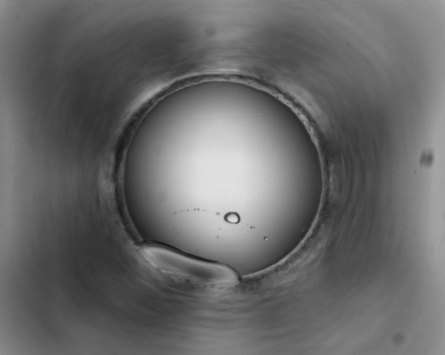 X0000103231452200808281420