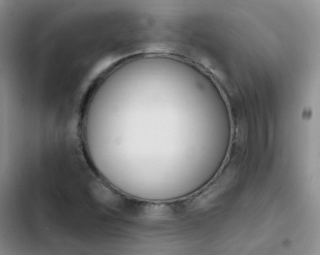 X0000103231454200808281420