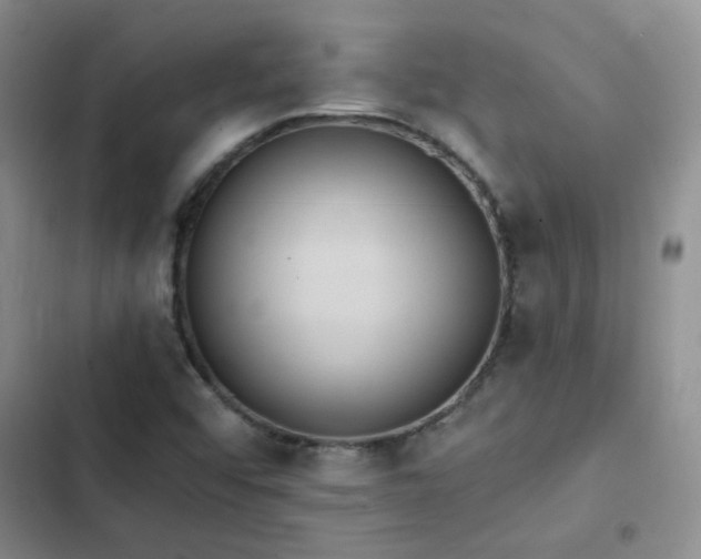 X0000103231456200808281420
