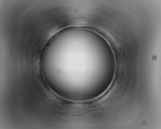X0000103231457200808281420