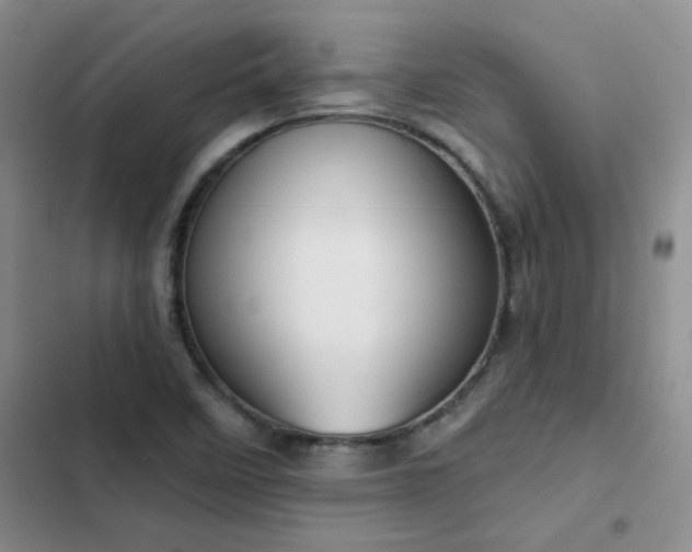 X0000103231458200808281420