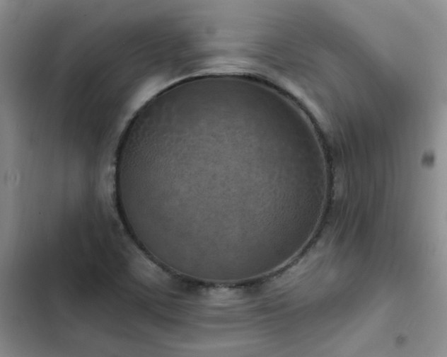 X0000103231459200808281420