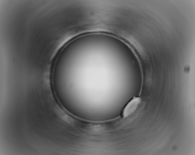X0000103231460200808281420