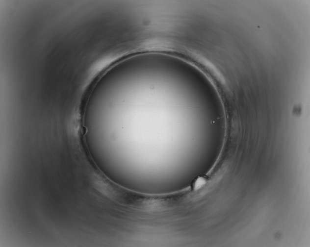 X0000103231461200808281419