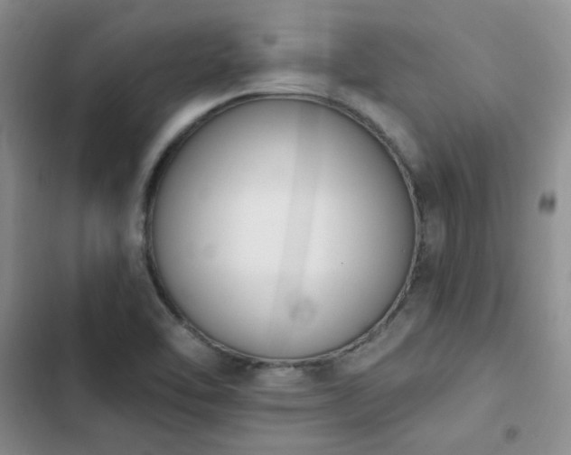 X0000103231462200808281419