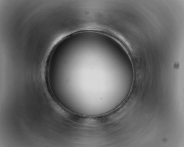 X0000103231463200808281419