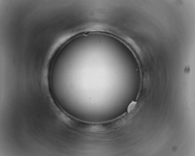 X0000103231464200808281419