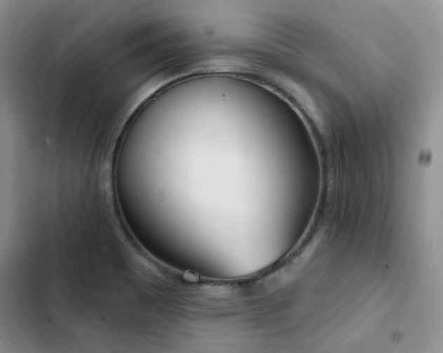 X0000103231465200808281419